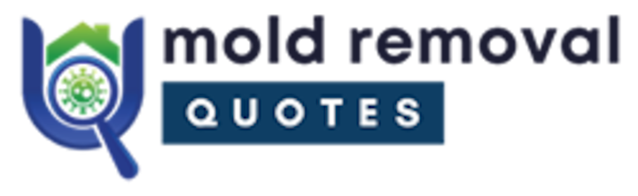 mold removal galveston